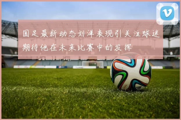国足最新动态刘洋表现引关注球迷期待他在未来比赛中的发挥