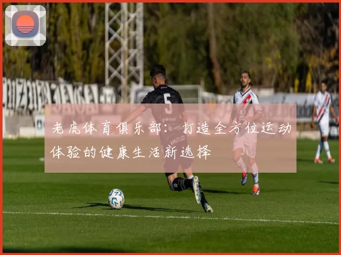 老虎体育俱乐部：打造全方位运动体验的健康生活新选择