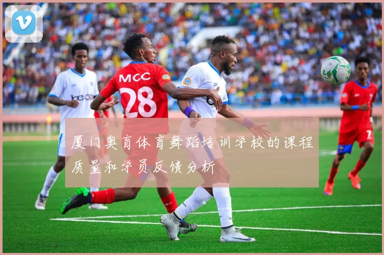厦门奥育体育舞蹈培训学校的课程质量和学员反馈分析